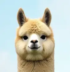 tirbaux's Avatar